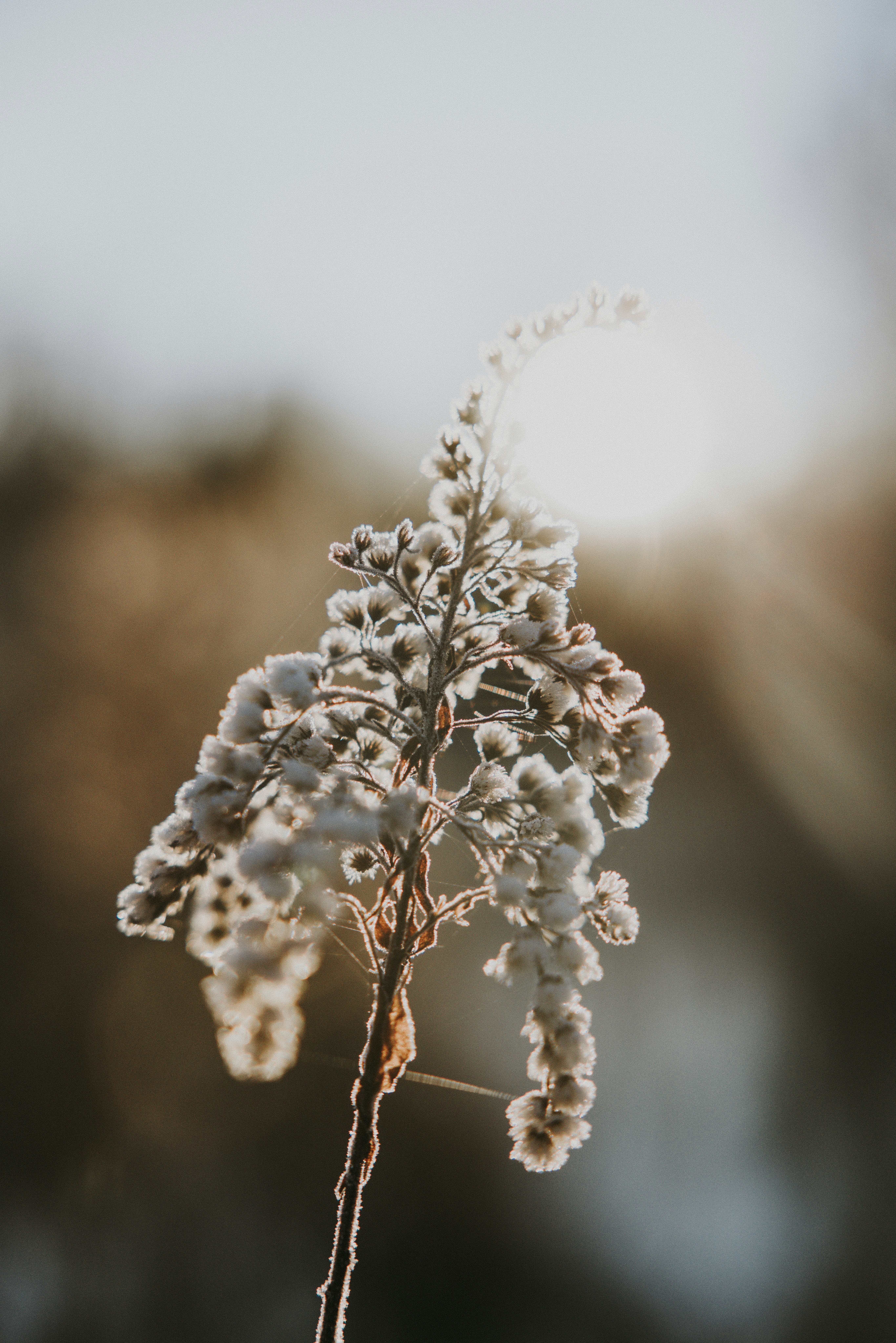 Photo by nadiacortellesi