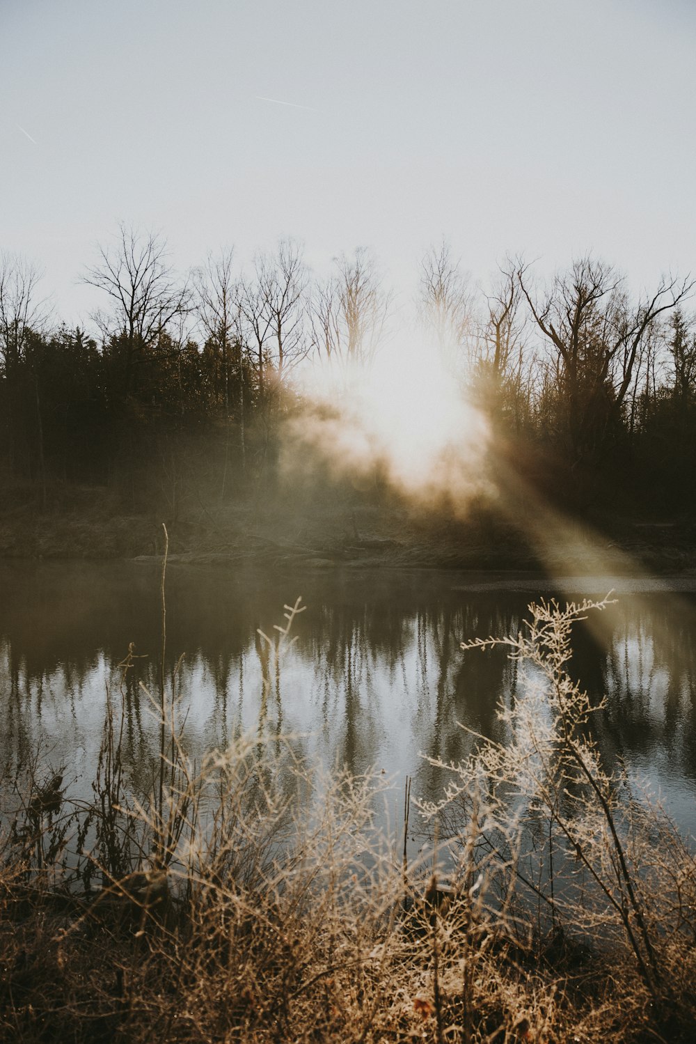 a body of water surrounded by trees and grass