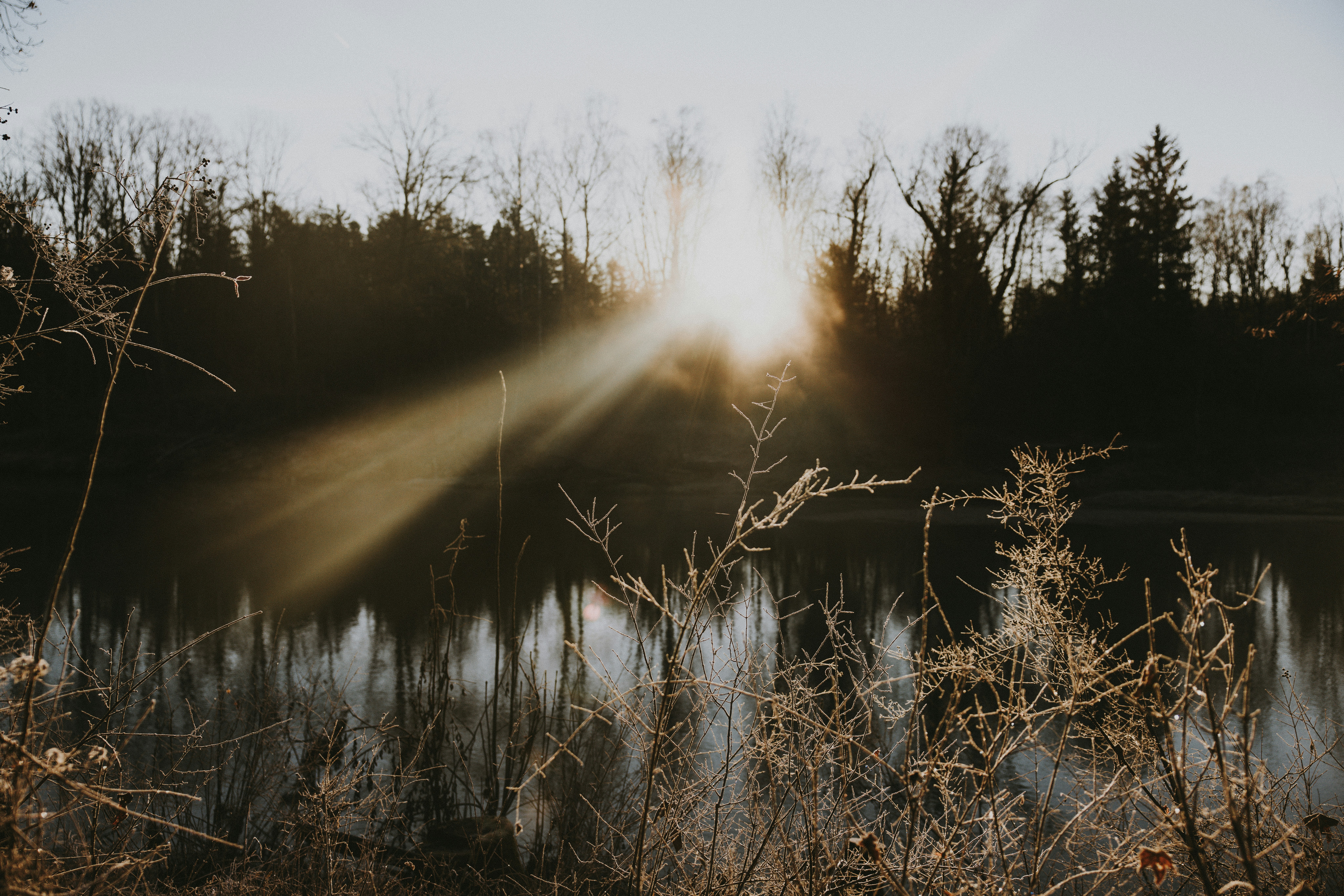 Photo by nadiacortellesi