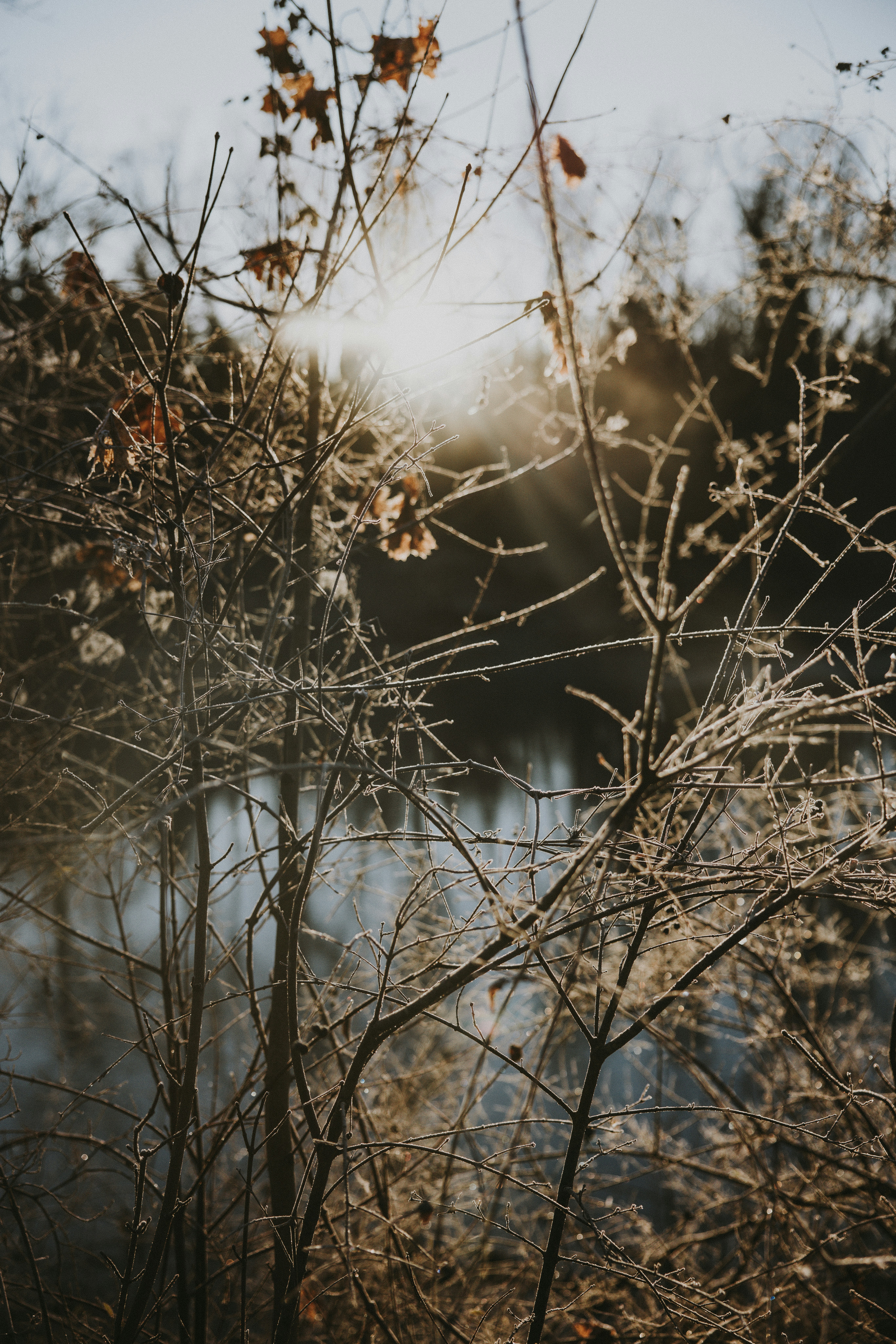 Photo by nadiacortellesi