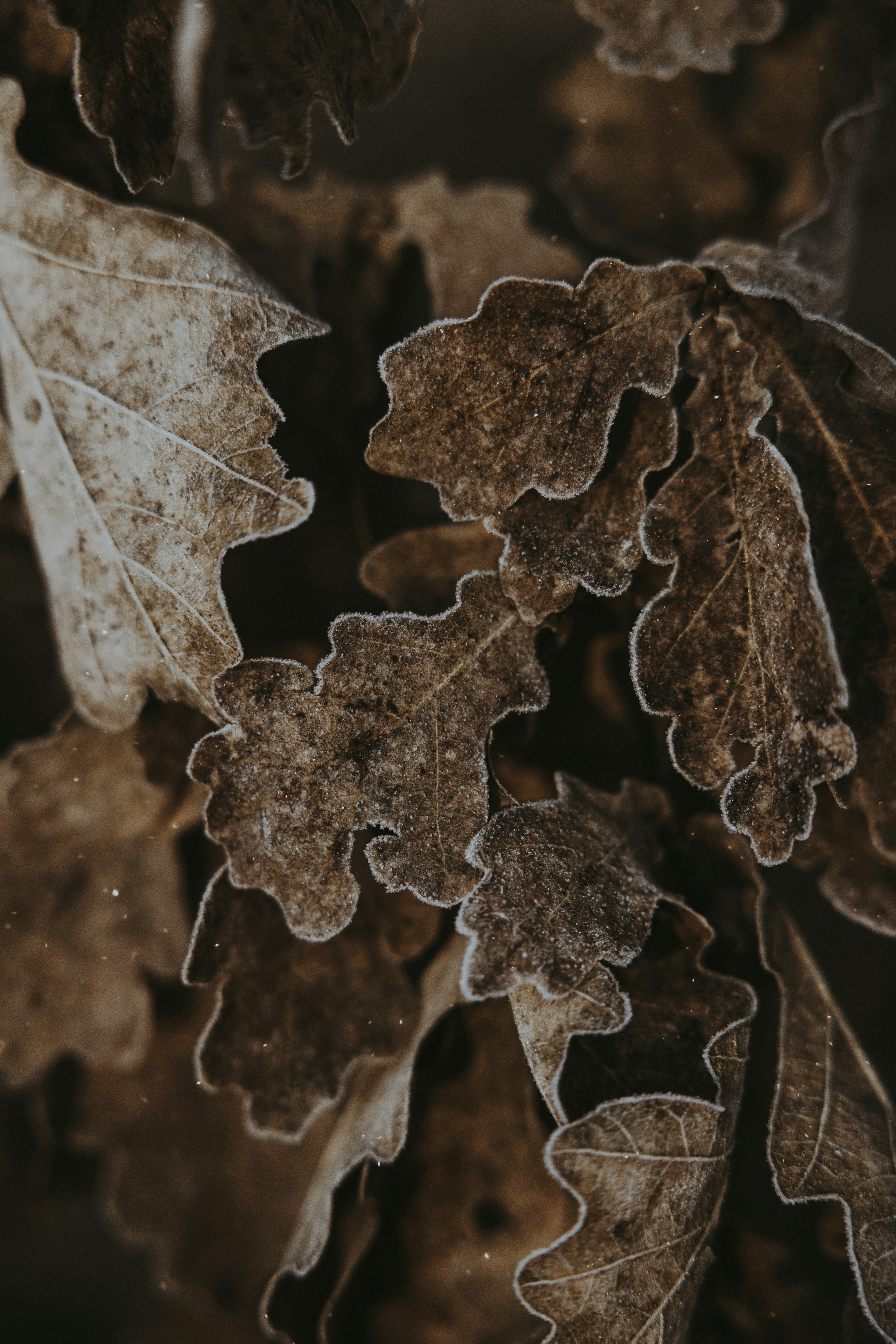 Photo by nadiacortellesi