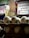 A stack of white eggs is arranged in a cardboard carton against a blurry urban backdrop with signage and buildings. The eggs are the focal point and are well-lit, while the background is out of focus.