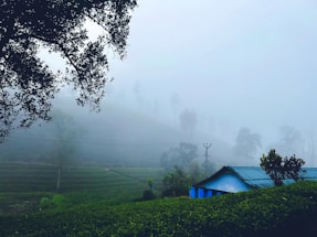 A cozy roadside tea stall in Ooty with misty hills in the background.