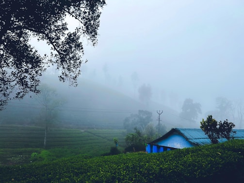 A cozy roadside tea stall in Ooty with misty hills in the background.