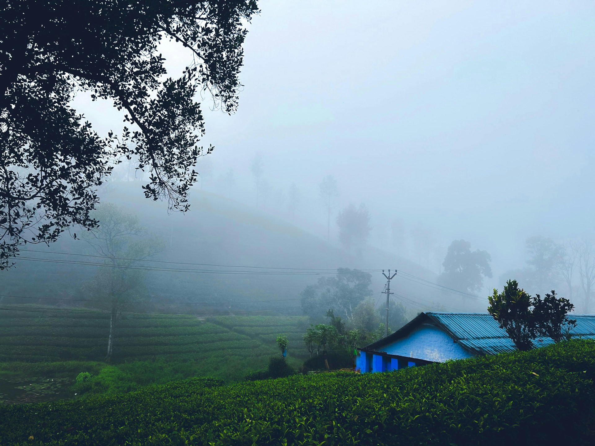 gray computer monitor