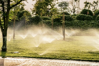 a group of sprinklers are spraying water in a park