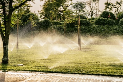 a group of sprinklers are spraying water in a park