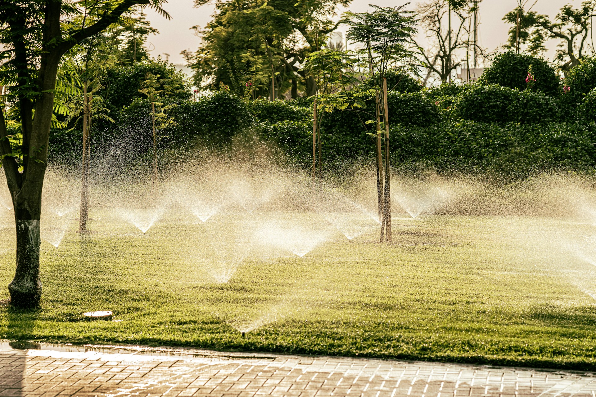 a group of sprinklers are spraying water in a park