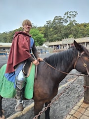 A person clad in medieval-style clothing, including armor, is seated on a brown horse. The rider wears a maroon cloak, a blue tunic, and metallic leg armor. The scene is set in an outdoor area with trees in the background and a rustic building resembling a castle or fortification.