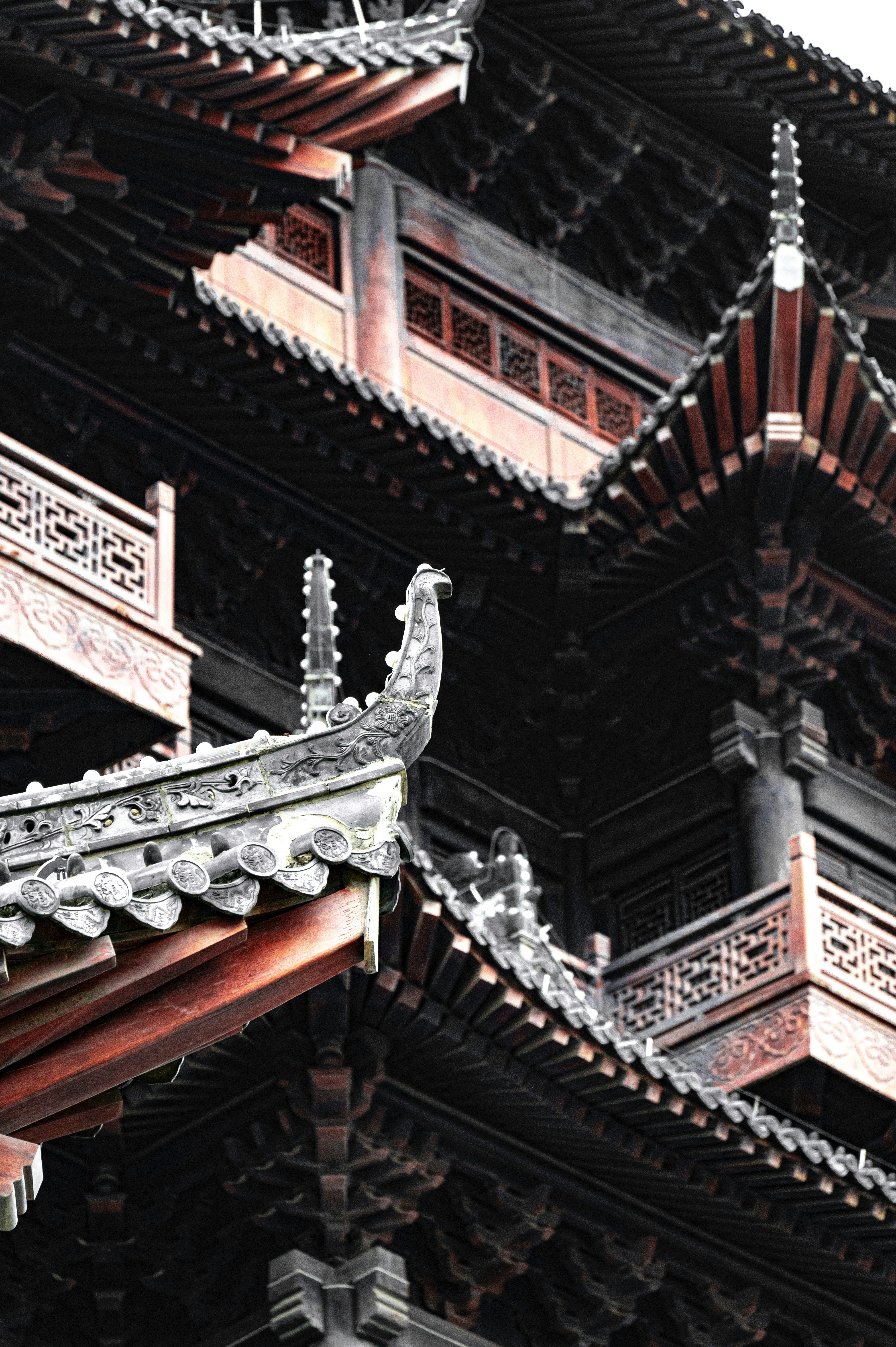 Photo by excellentcx