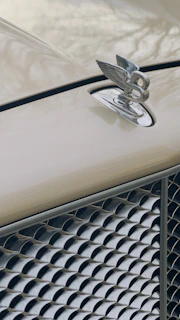 Close-up of a Skyluxe car badge shining under the morning sun on a luxury vehicle