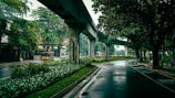 a bus driving down a street next to a lush green forest