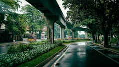 a bus driving down a street next to a lush green forest