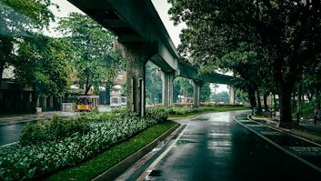 a bus driving down a street next to a lush green forest