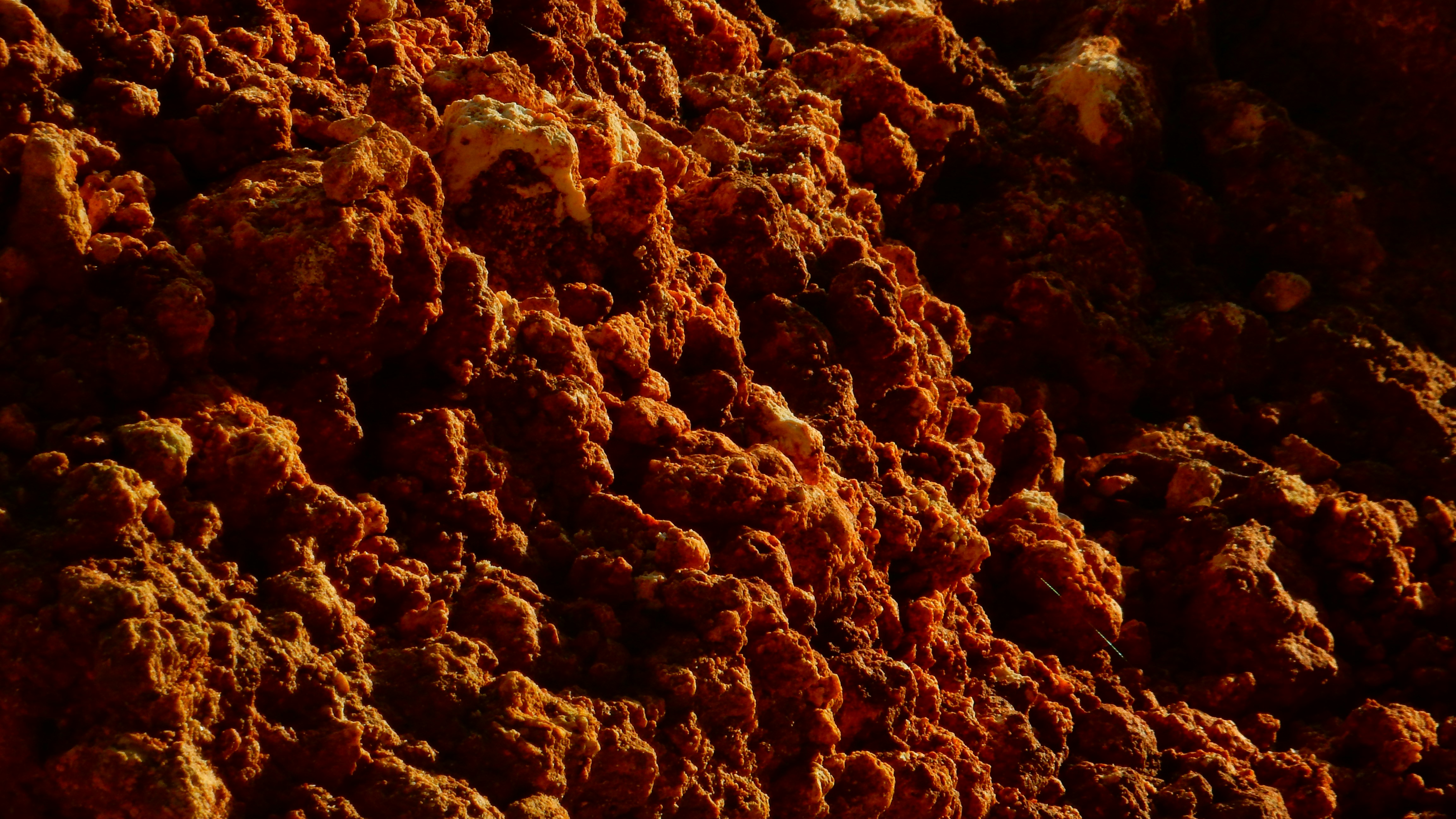 Photo by rumpoko_1992