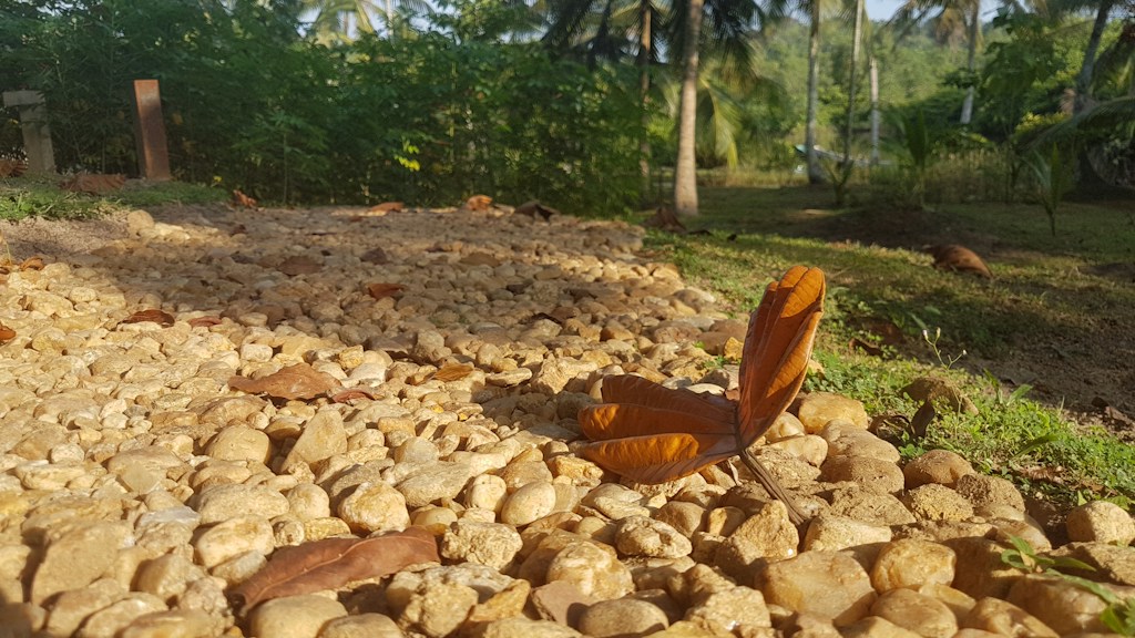 Cordless Leaf Blower