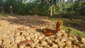 Cordless Leaf Blower