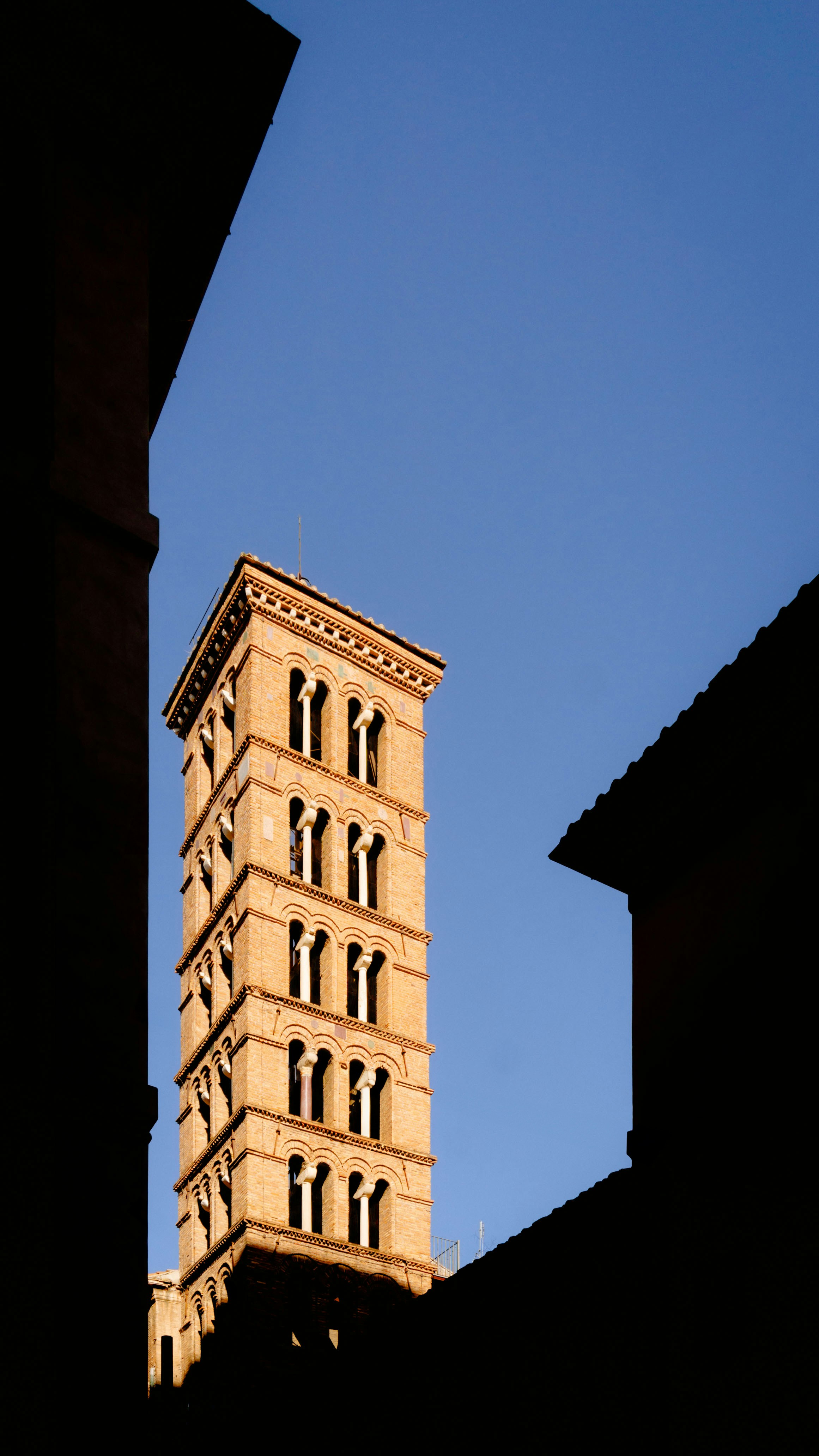 Archiginnasio of Bologna photo 3