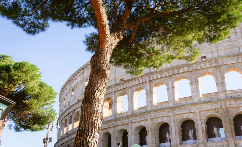 a tree in front of a large building