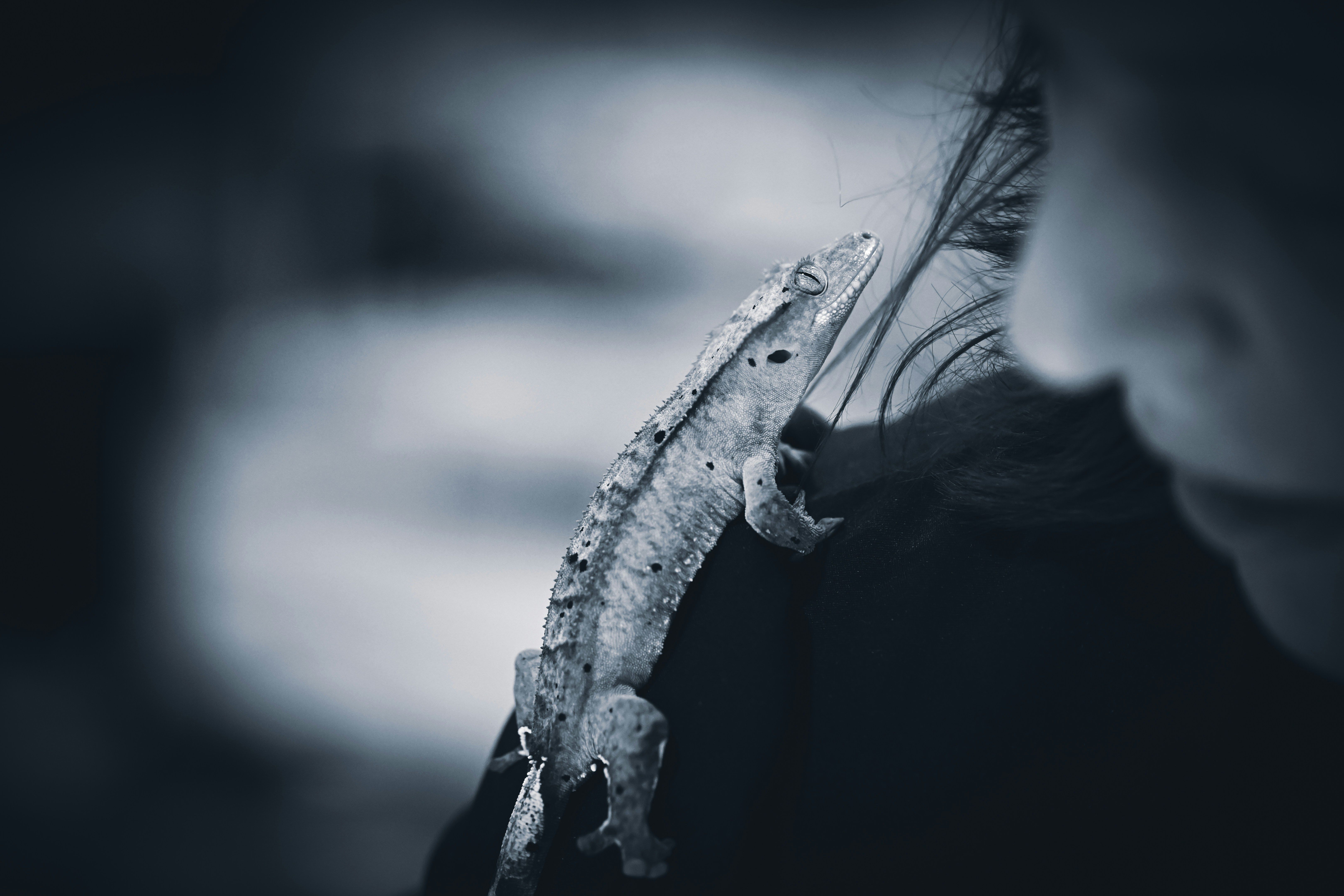 Photo by andreystrizhkov