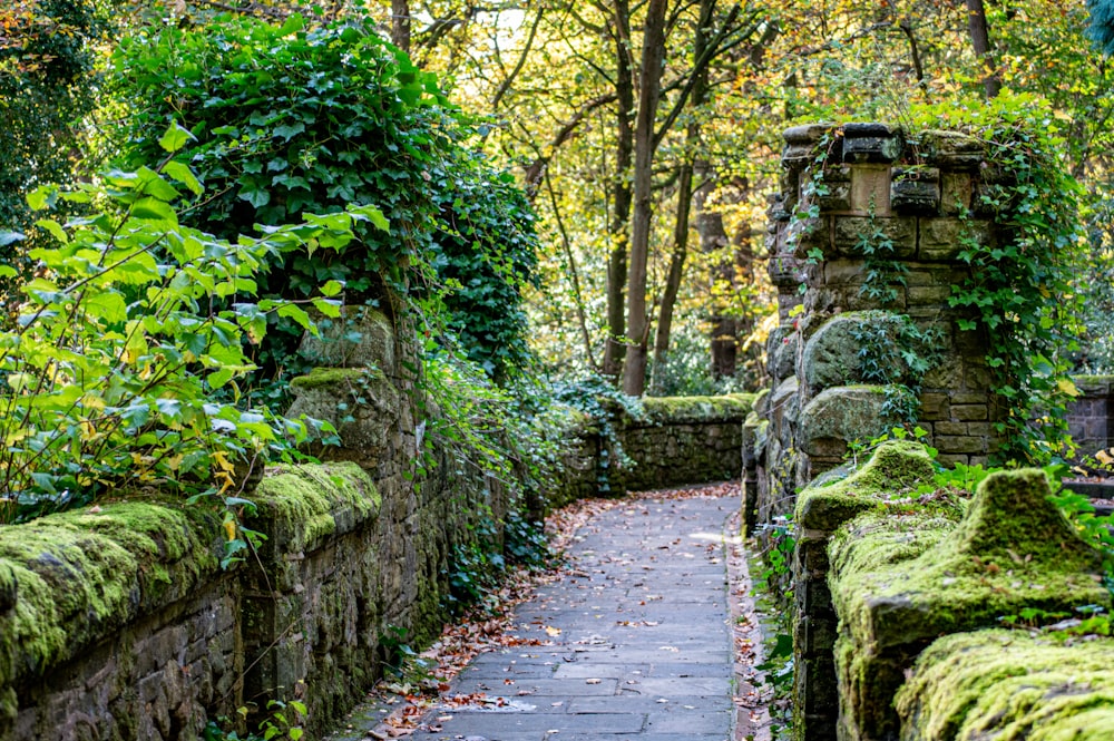 a stone path with moss growing on it