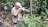 A person is kneeling on the forest floor, focusing intensely on taking a photograph using a large camera with a camouflage-patterned lens. They are surrounded by lush green foliage and trees, indicating a dense forest environment. The individual is wearing a beige jacket and a cap.