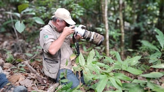 A person is kneeling on the forest floor, focusing intensely on taking a photograph using a large camera with a camouflage-patterned lens. They are surrounded by lush green foliage and trees, indicating a dense forest environment. The individual is wearing a beige jacket and a cap.