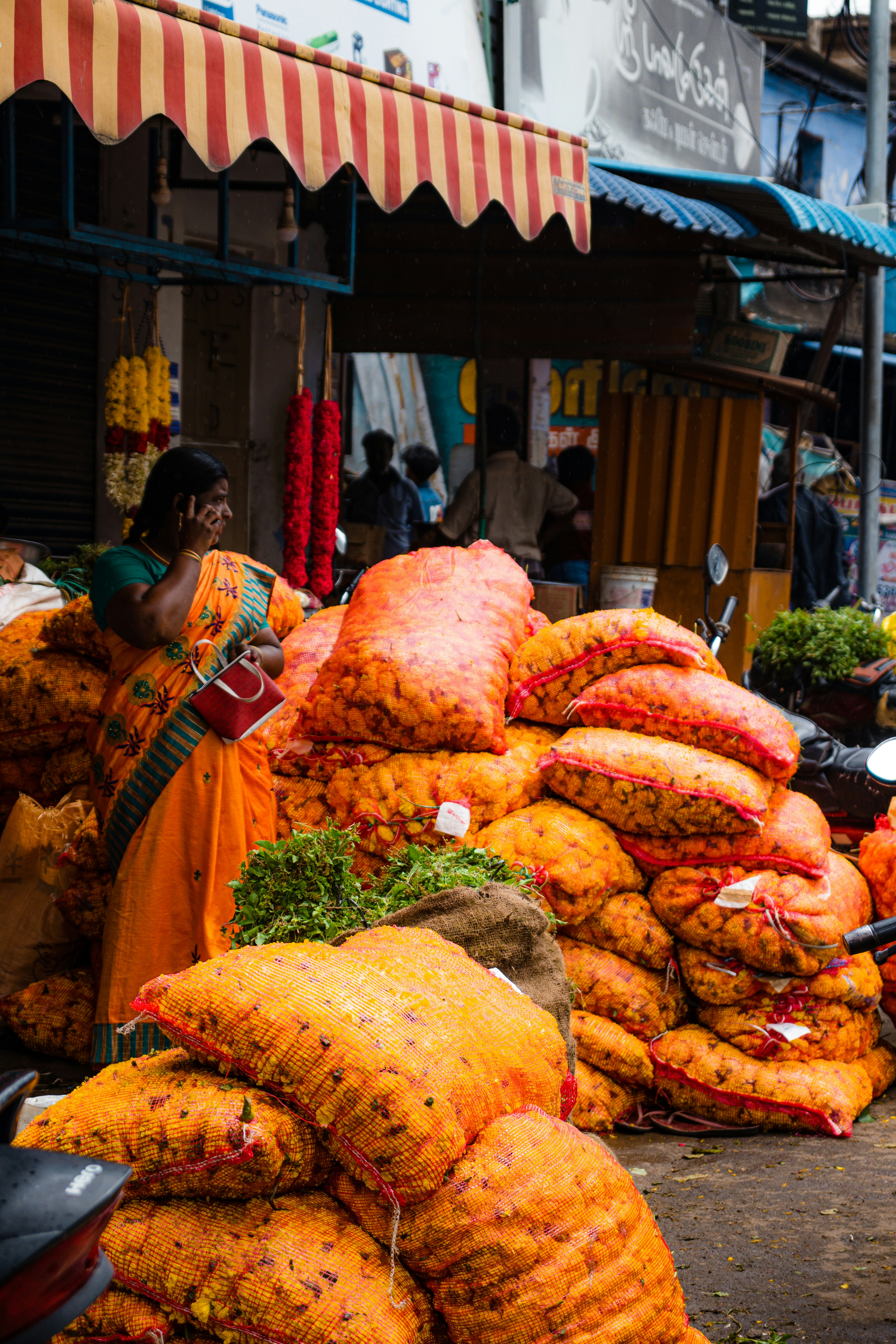 Premium Sports Gear Collection