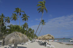 a sandy beach with palm trees and lounge chairs