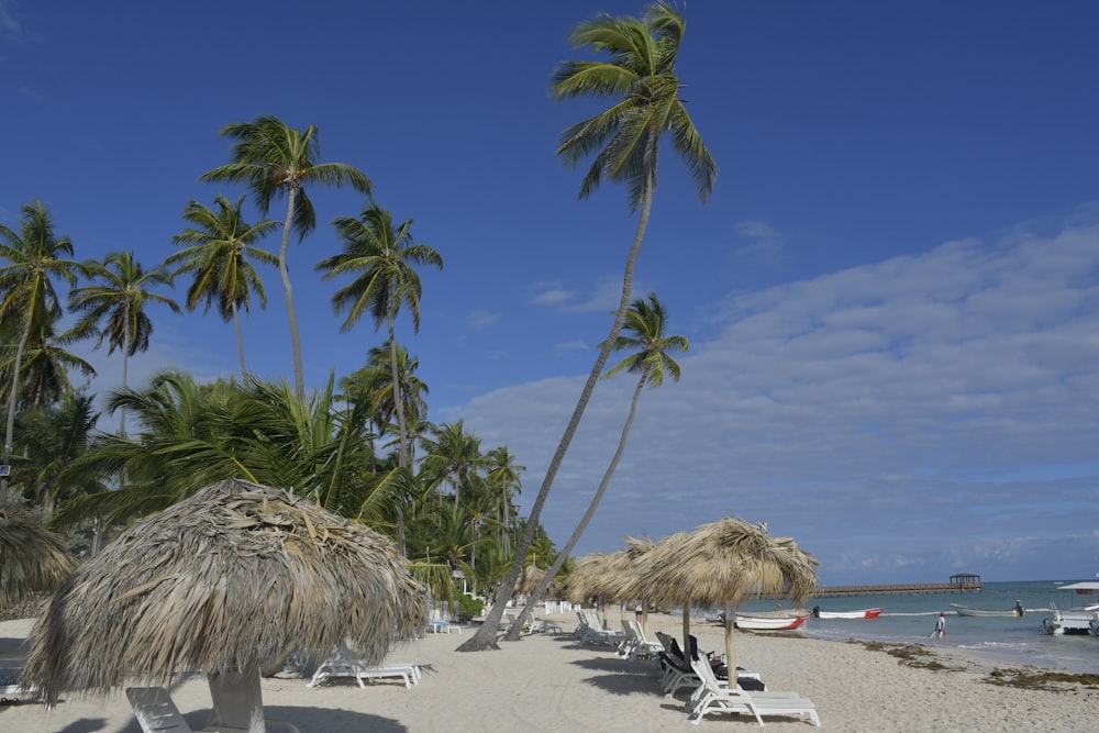 a sandy beach with palm trees and lounge chairs