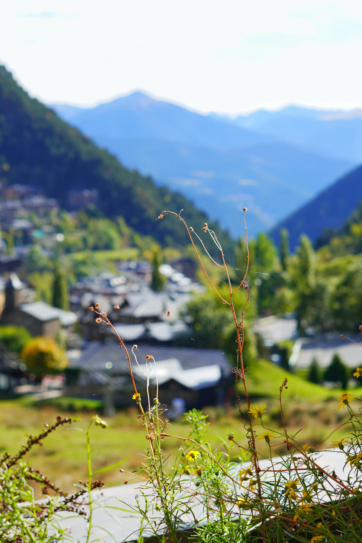 Rooftops of Andorra la Vella below wooded hills, with blue mountains in the distance