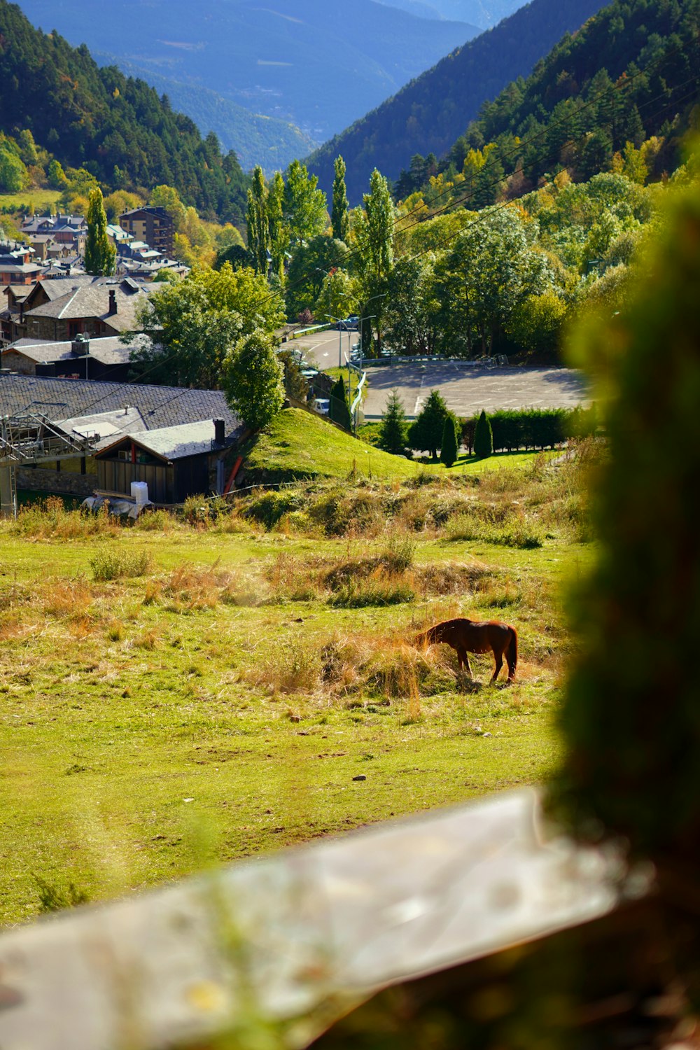 un caballo pastando en un campo cerca de una aldea