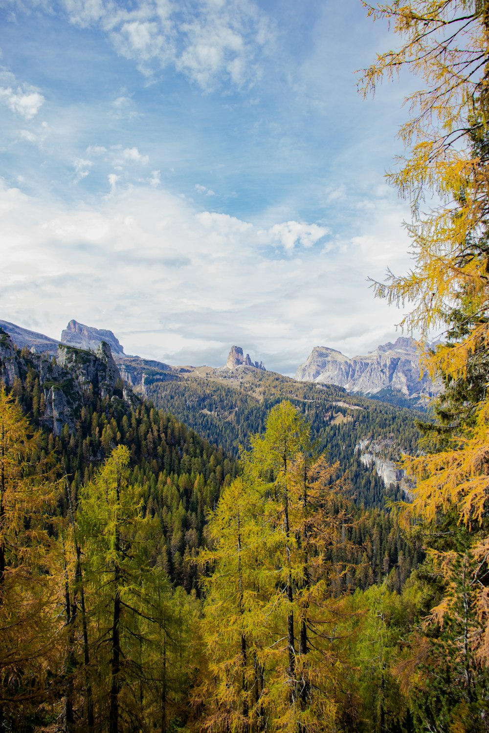 a scenic view of a mountain range with trees in the foreground