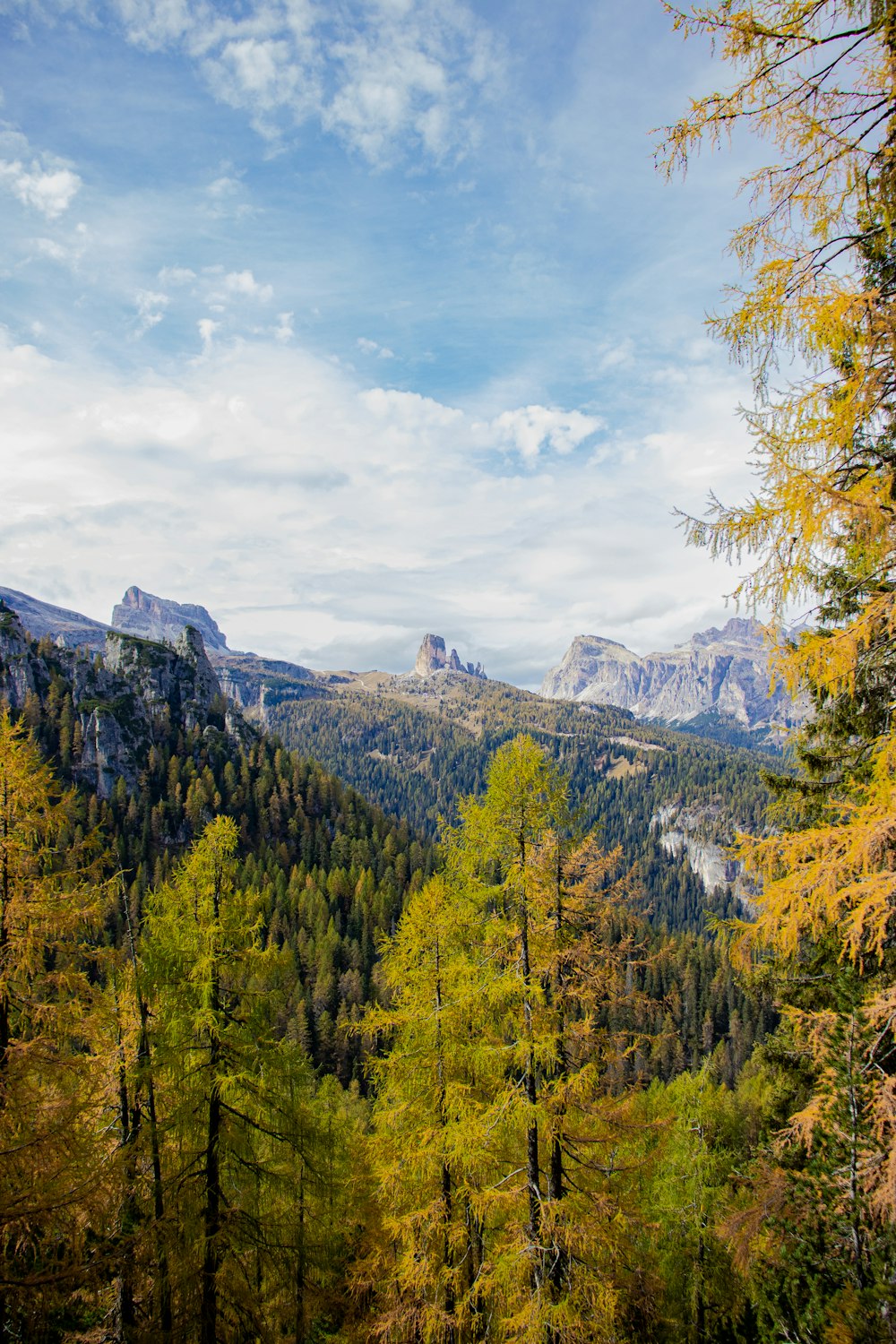 Una vista panorámica de una cadena montañosa con árboles en primer plano