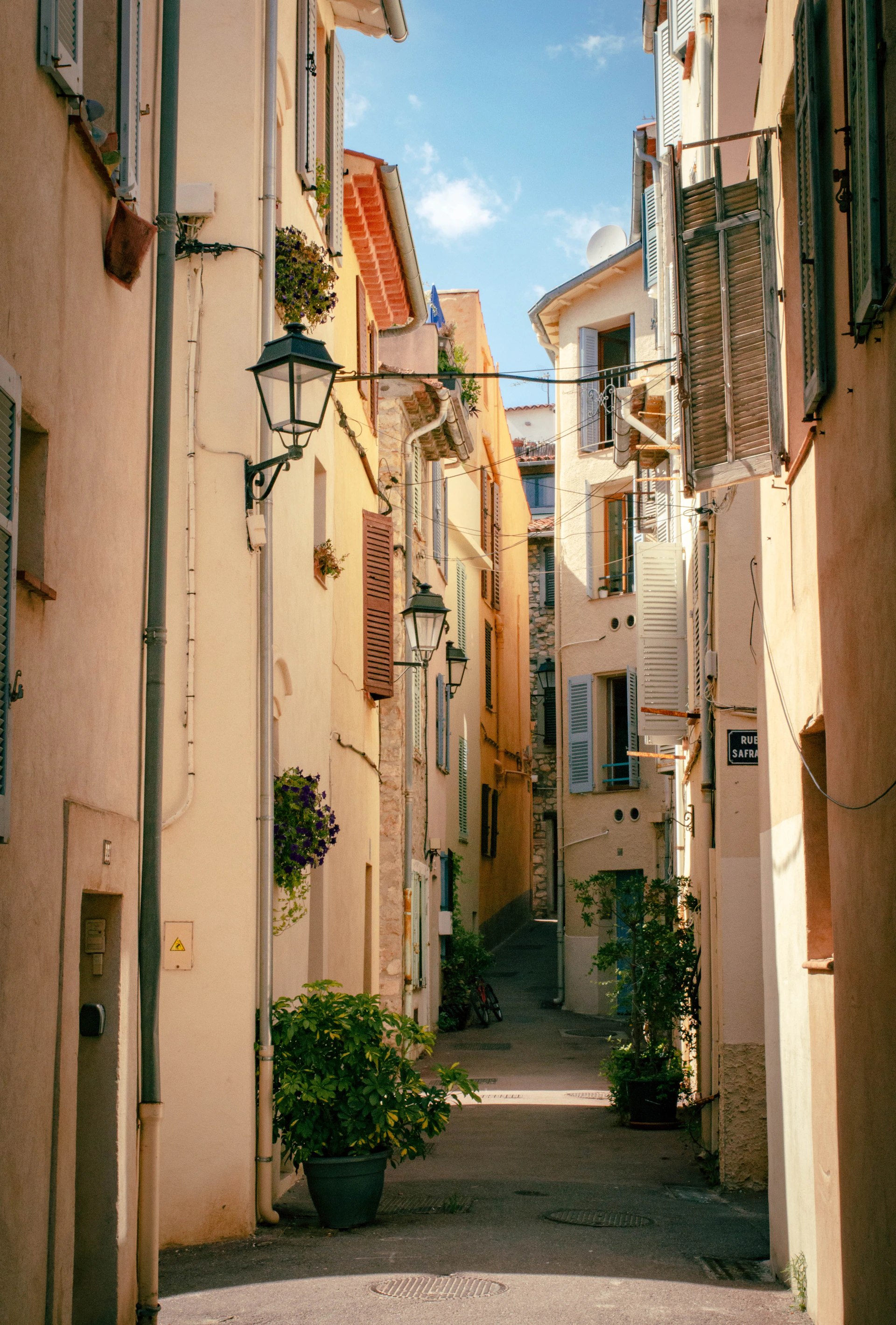 a narrow alley way with a potted plant in the middle