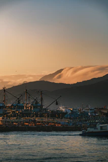 A serene dock at the Barcelona fleet hub with sleek electric boats lined up under a golden sunset.