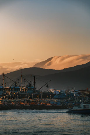 A serene dock at the Barcelona fleet hub with sleek electric boats lined up under a golden sunset.