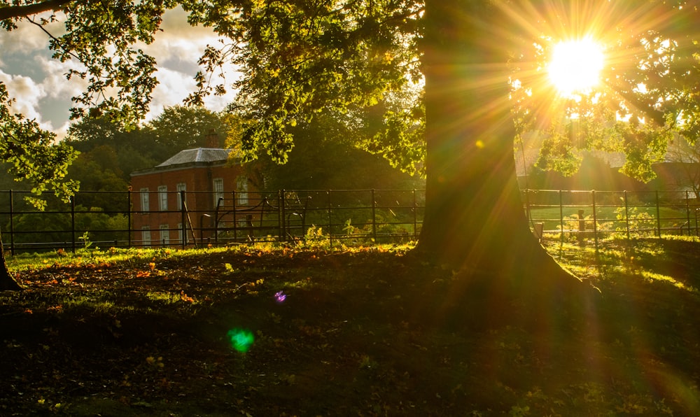 the sun is shining through the trees in the park