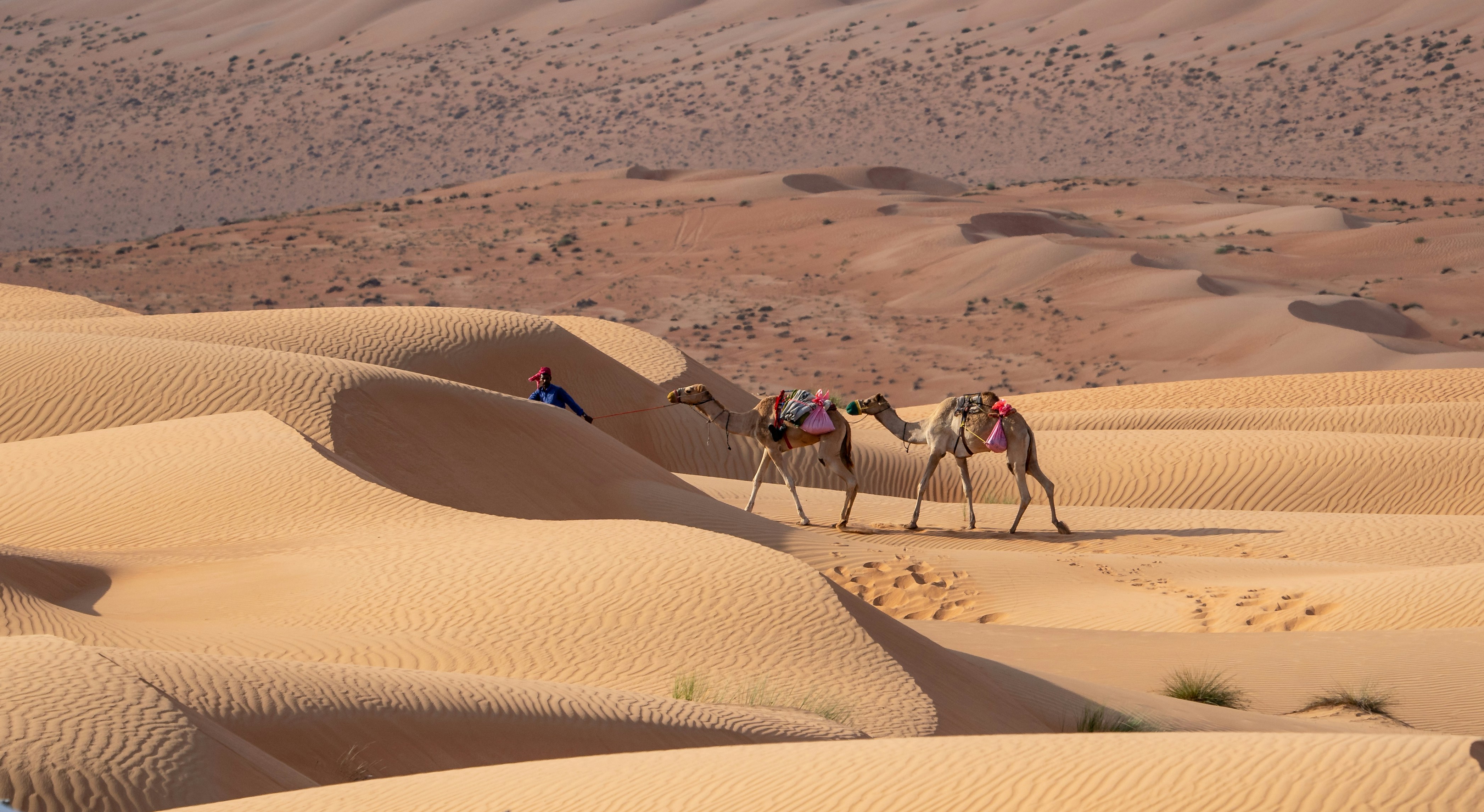 7-Day Casablanca to Merzouga Desert Tour | Complete Morocco Experience