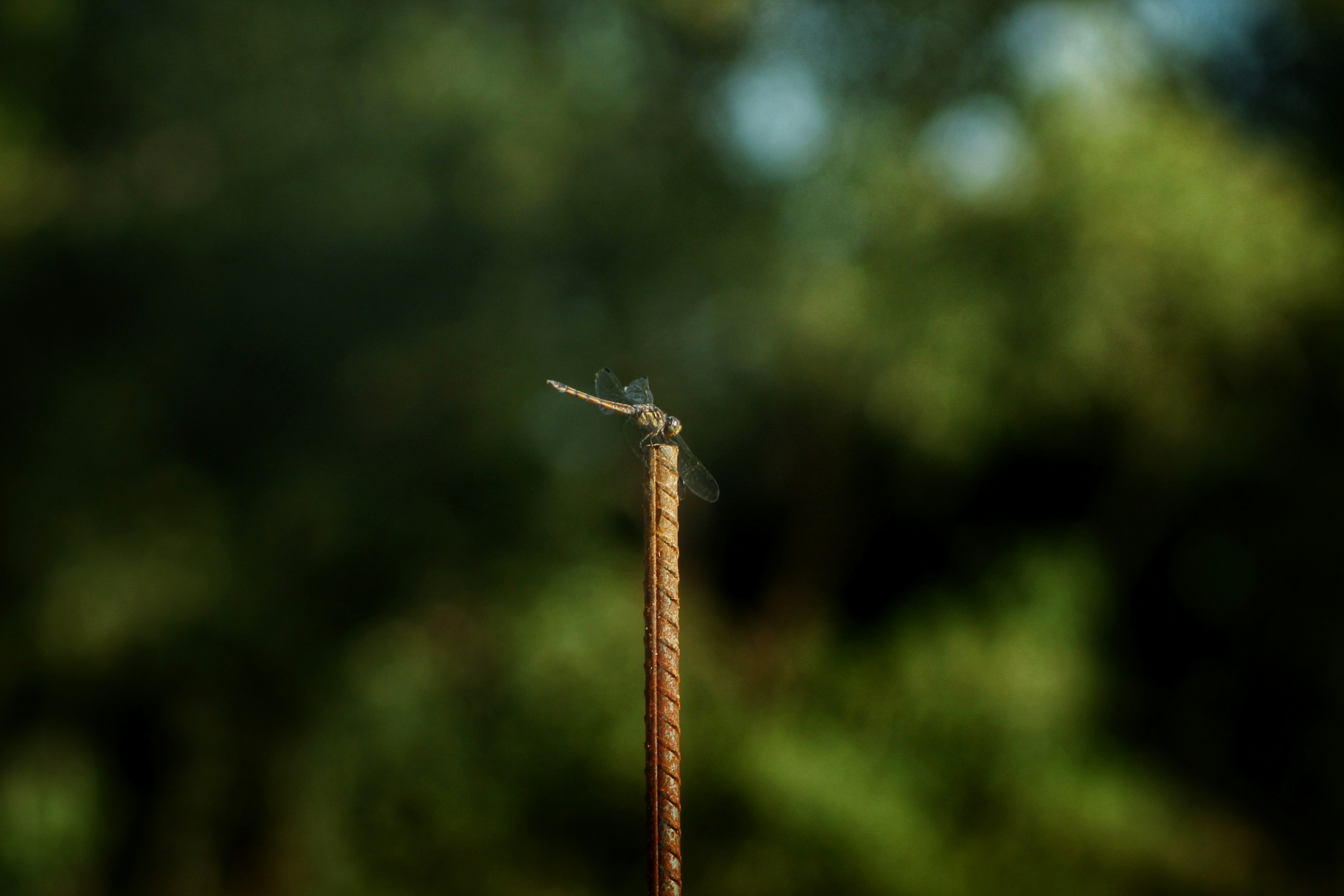 photo-1703256430141-f8239a7186ac?ixid=M3wxMjA3fDB8MXxzZWFyY2h8OHx8aGlnaCUyMHN0YWtlcyUyMHN3ZWVwc3xlbnwwfHx8fDE3NTY1MjI0ODB8MA\u0026ixlib=rb-4.1.0