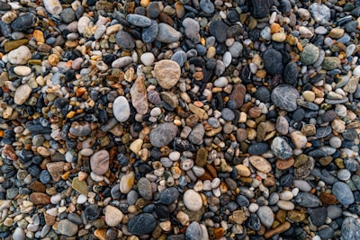 A collection of multicolored pebbles and stones of various shapes and sizes, forming a dense and textured surface. The pebbles range in color from dark grays and blacks to light creams and whites, with occasional hints of orange and brown.