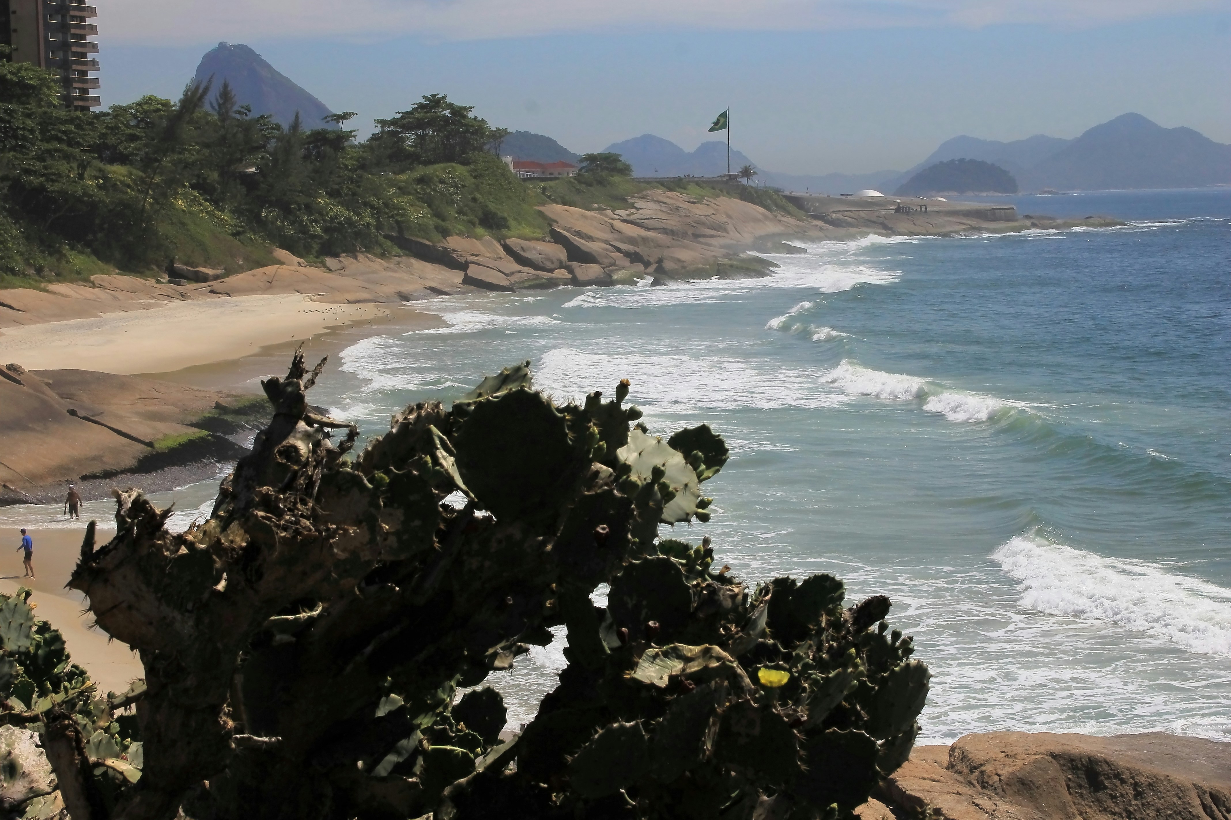 a view of a beach from a cliff