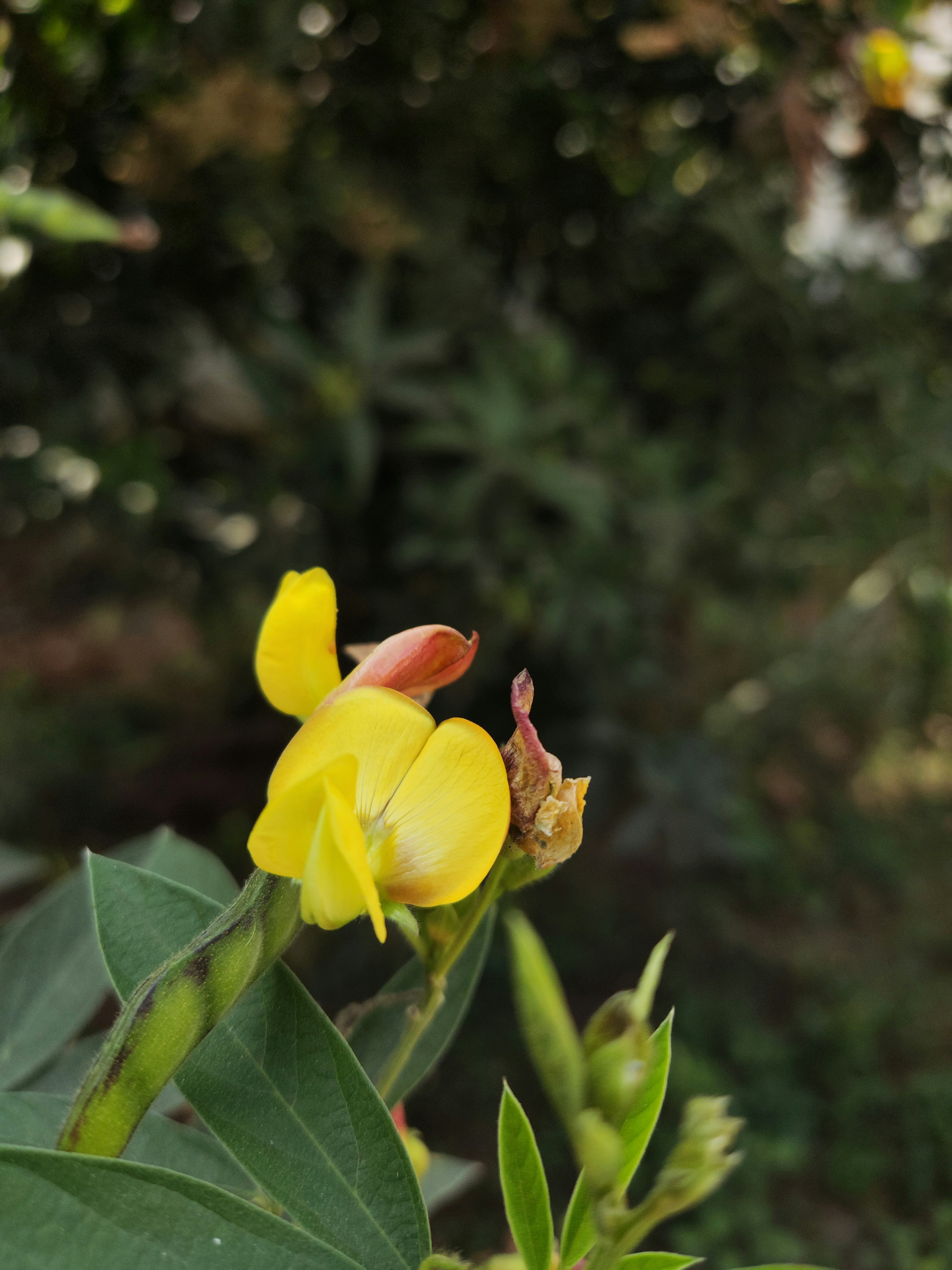 Photo by opacaro_phile