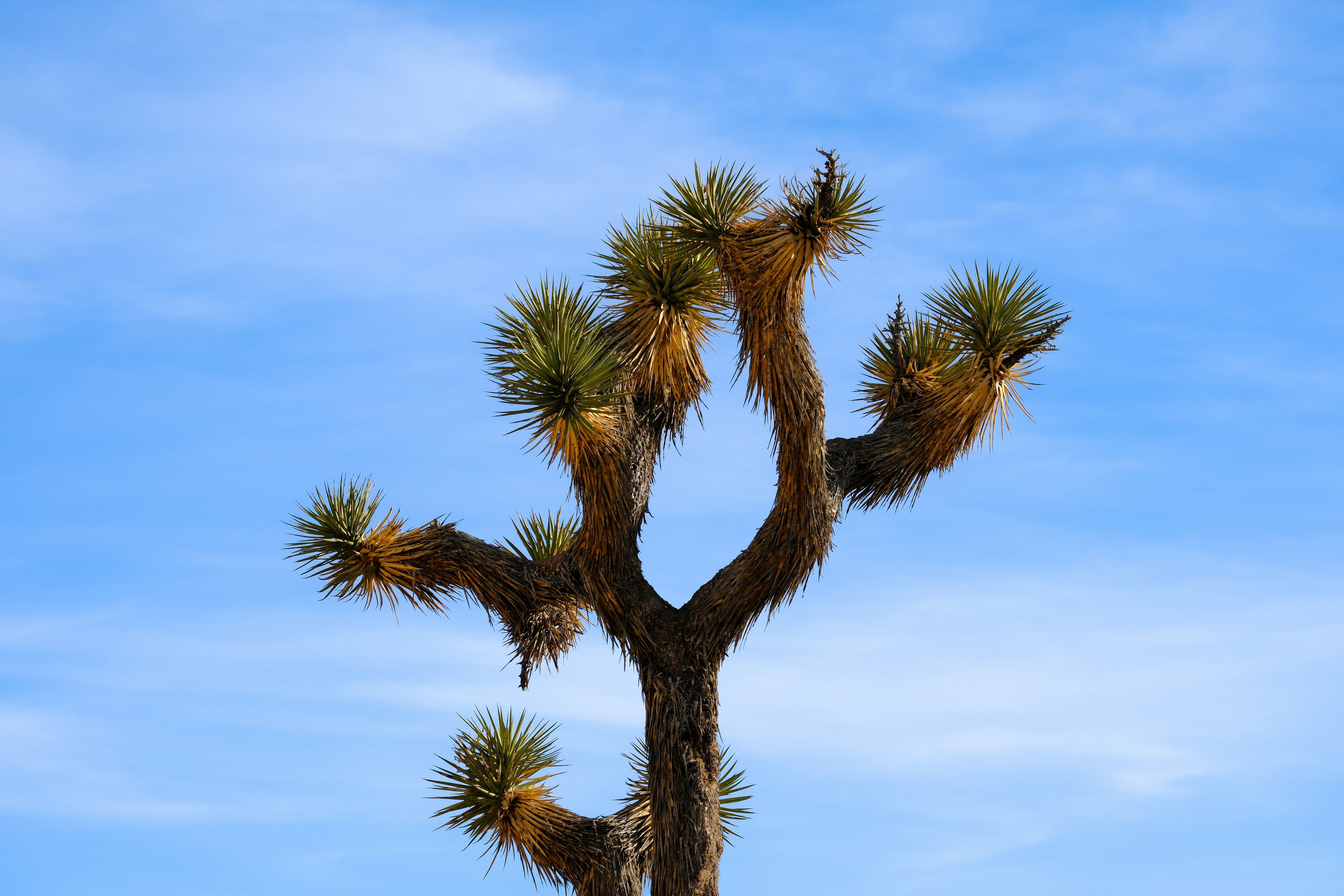 Photo by cestmoisheedy