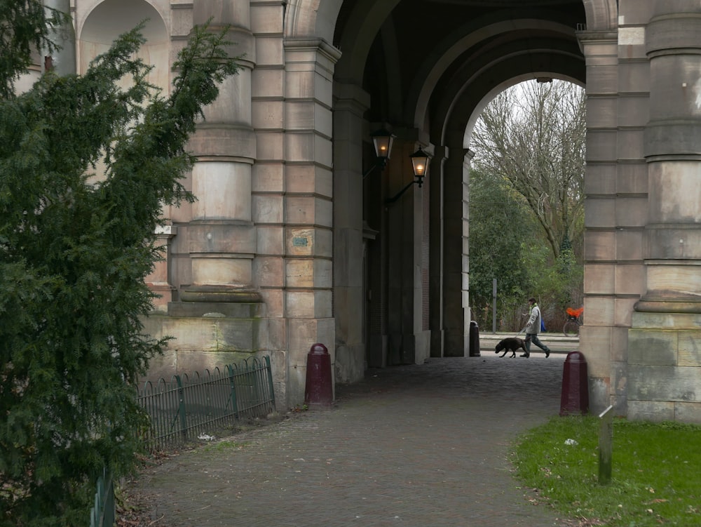 a person walking a dog down a walkway