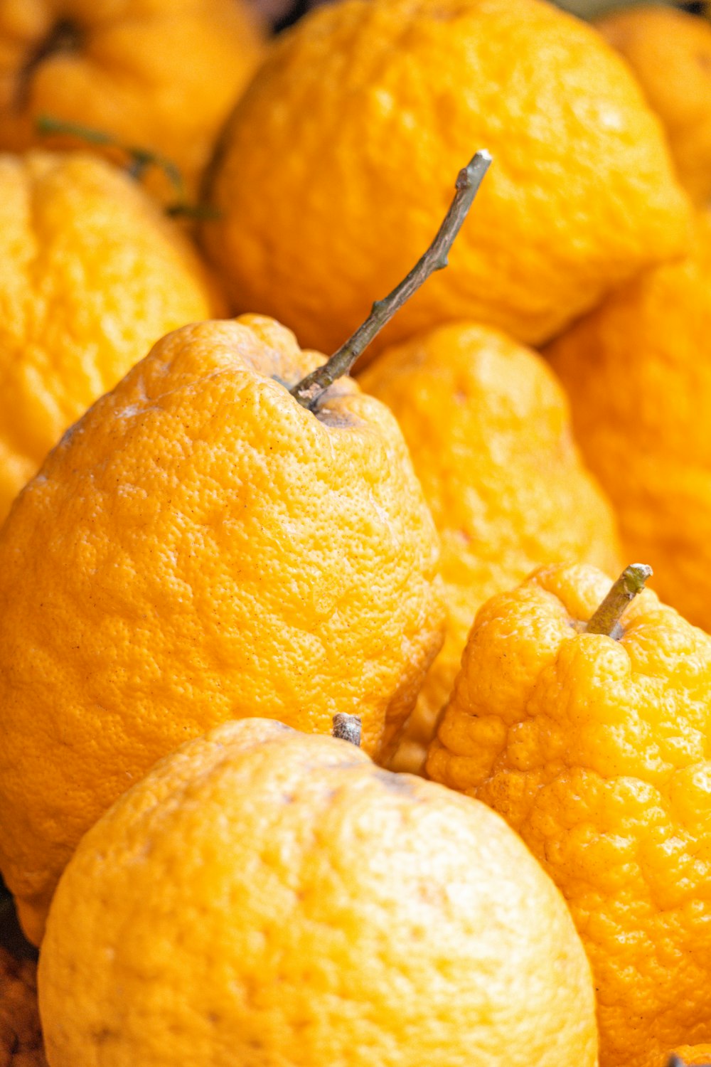 a pile of oranges sitting next to each other