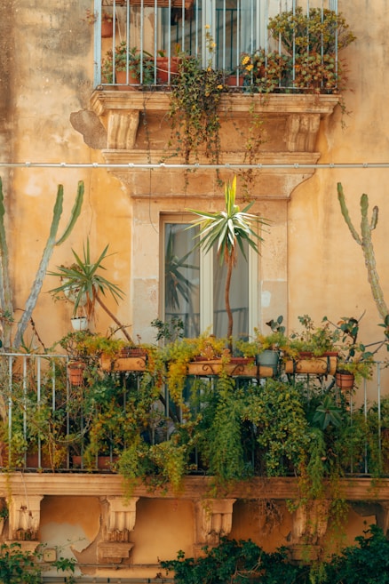 A rustic balcony adorned with an abundance of potted plants and greenery. The facade shows a weathered, warm-toned wall with intricately designed stone brackets. Lush foliage and various types of plants, including cacti, cascade over the metal railings, adding vibrancy to the serene setup.