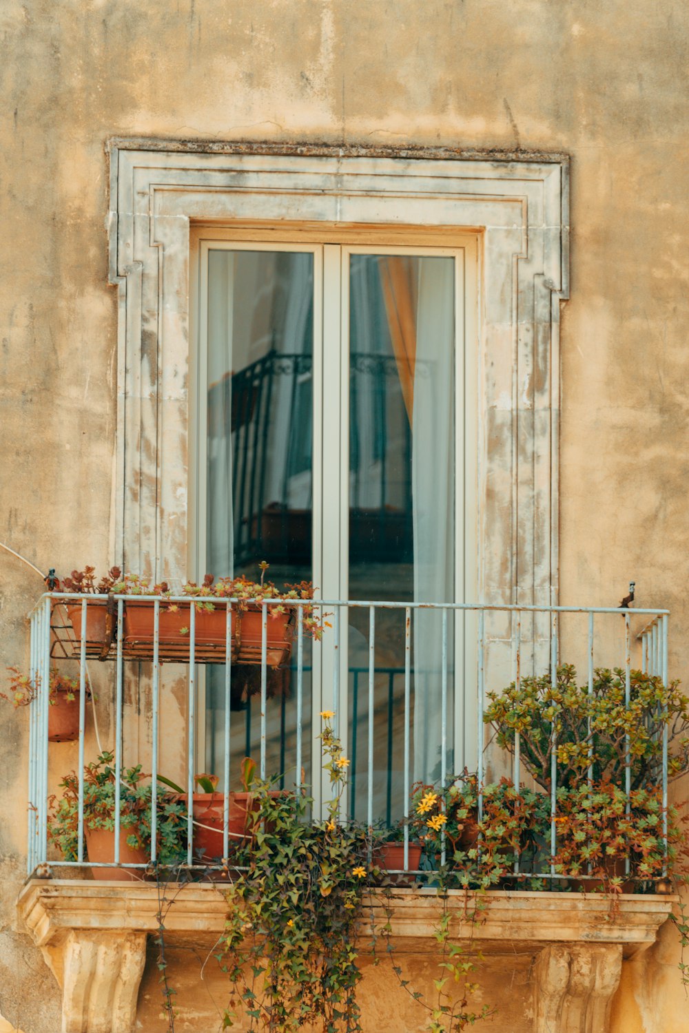 a balcony with potted plants and a balcony railing