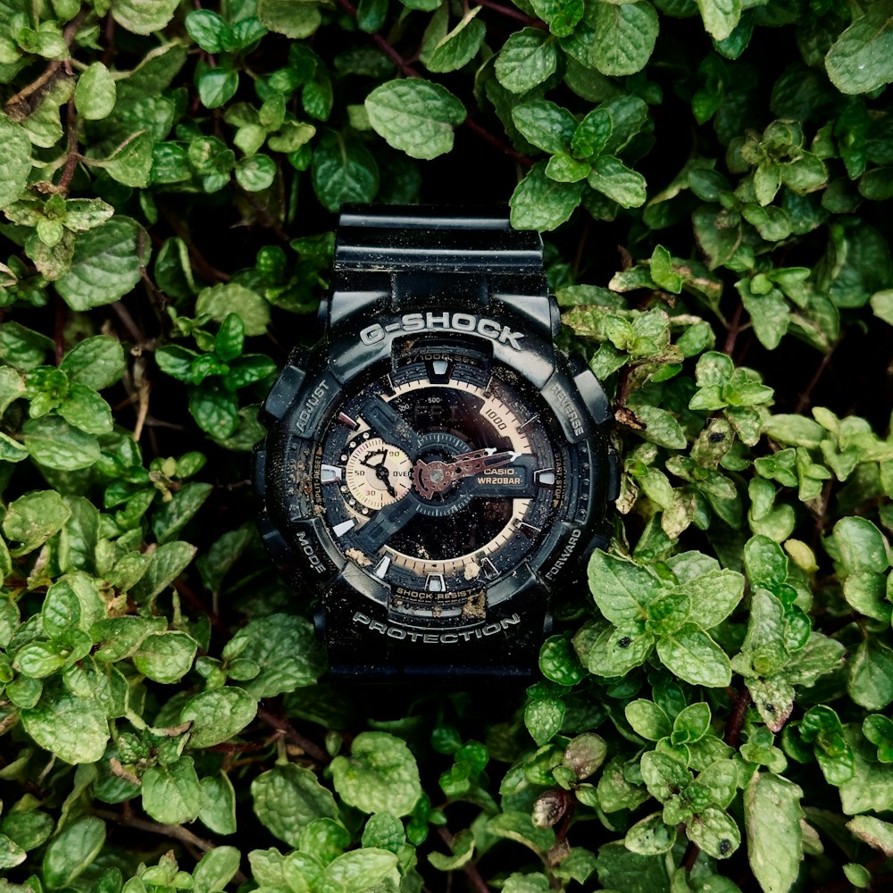 a watch sitting on top of a lush green field