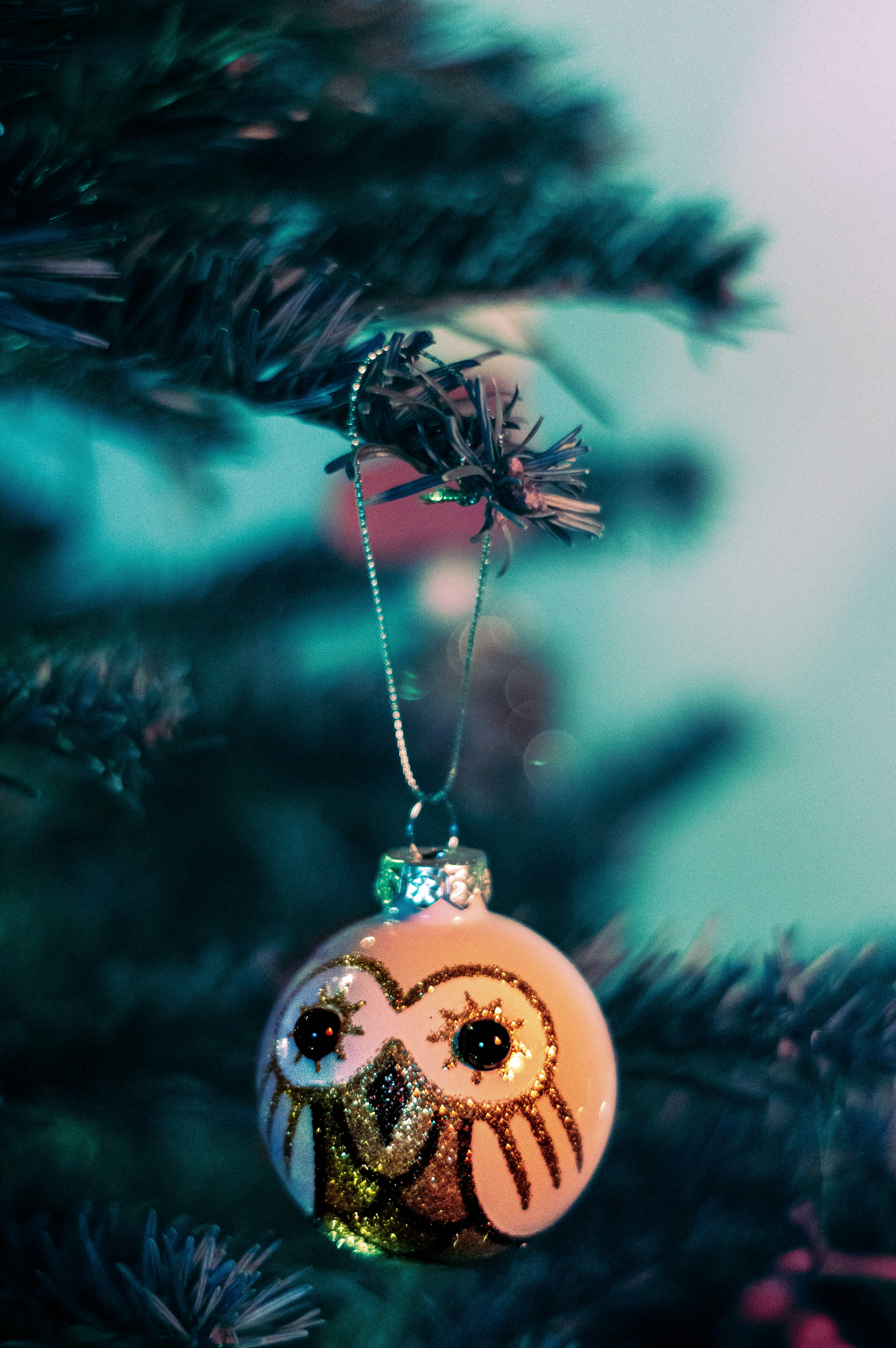 un ornement suspendu à un sapin de Noël
